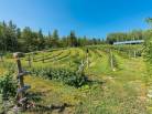 36 - House for sale, Saint-Urbain (Code - su081, Charlevoix)