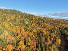 2 - Terrain et terre à vendre, Petite-Rivière-Saint-François (Code - pr868, Charlevoix)