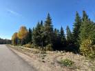 1 - Terrain et terre à vendre, Baie-Saint-Paul (Code - sp901, Charlevoix)