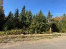 3 - Terrain et terre à vendre, Baie-Saint-Paul (Code - sp901, Charlevoix)