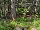 39 - House for sale, La Malbaie (Code - mb410, Charlevoix)