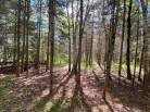 40 - House for sale, La Malbaie (Code - mb410, Charlevoix)