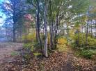 2 - Terrain et terre à vendre, Saint-Siméon (Code - ss071, Charlevoix)