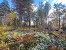 3 - Terrain et terre à vendre, Saint-Siméon (Code - ss071, Charlevoix)