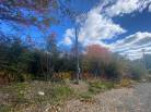4 - Terrain et terre à vendre, Saint-Siméon (Code - ss071, Charlevoix)