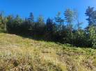 10 - Terrain et terre à vendre, Les Éboulements (Code - eb310, Charlevoix)