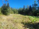 11 - Terrain et terre à vendre, Les Éboulements (Code - eb310, Charlevoix)