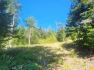 12 - Terrain et terre à vendre, Les Éboulements (Code - eb310, Charlevoix)
