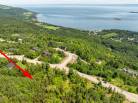 5 - Terrain et terre à vendre, Les Éboulements (Code - eb310, Charlevoix)