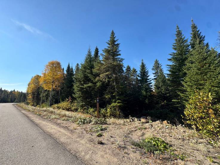 Terrain et terre à vendre - Baie-Saint-Paul, Charlevoix (SP901)