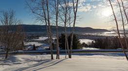 Détails - Terrain et terre à vendre (Code SP917)