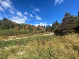 Détails - Terrain et terre à vendre (Code SS072)