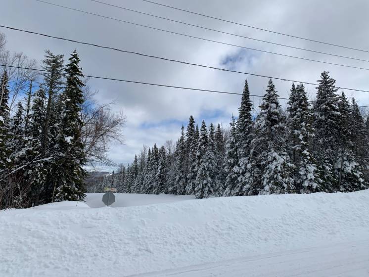 3 - Terrain et terre à vendre, Petite-Rivière-Saint-François (Code - pr762, Charlevoix)