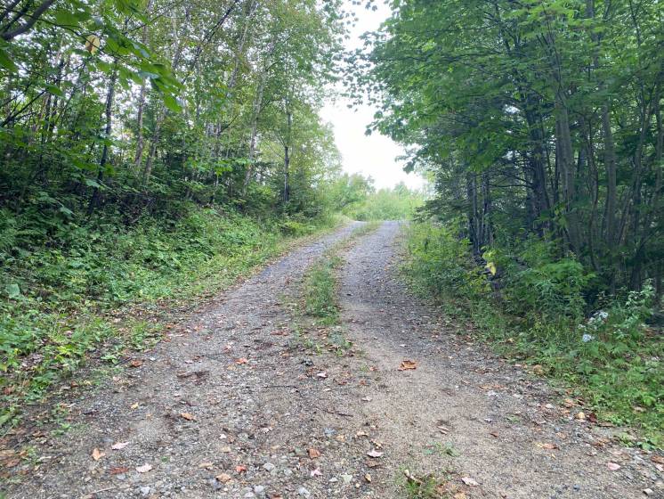 31 - Maison à vendre, Saint-Irénée (Code - si178, Charlevoix)