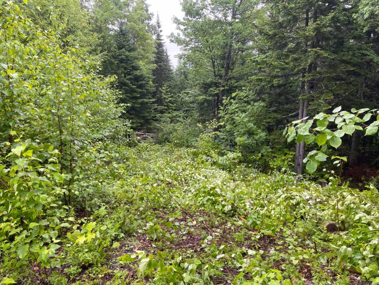 1 - Lot and land for sale, Petite-Rivière-Saint-François (Code - pr852, Charlevoix)