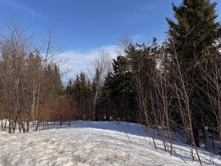 3 - Lot and land for sale, Petite-Rivière-Saint-François (Code - pr852, Charlevoix)