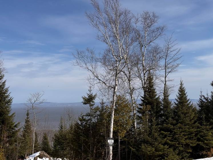 4 - Lot and land for sale, Petite-Rivière-Saint-François (Code - pr852, Charlevoix)
