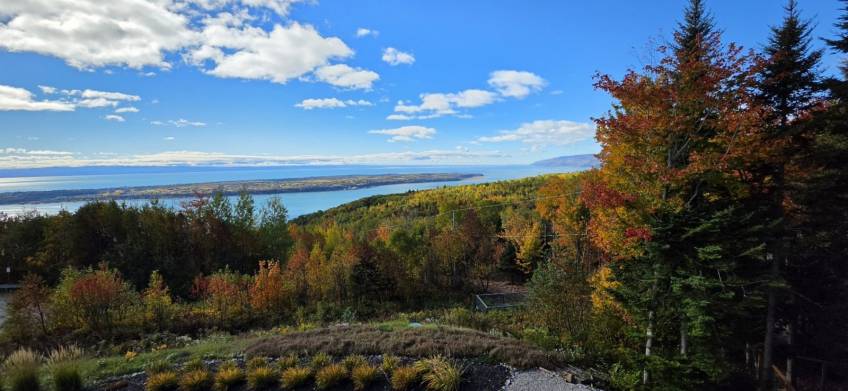 48 - Maison à vendre, Les Éboulements (Code - eb337, Charlevoix)