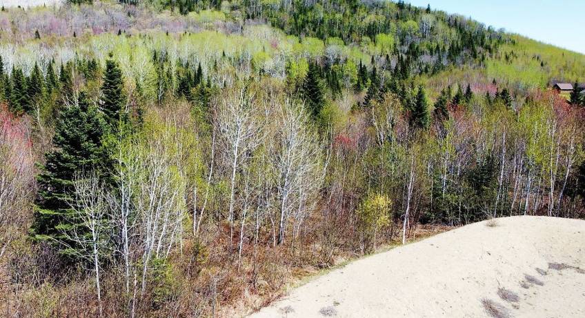 2 - Terrain et terre à vendre, Petite-Rivière-Saint-François (Code - pr818, Charlevoix)