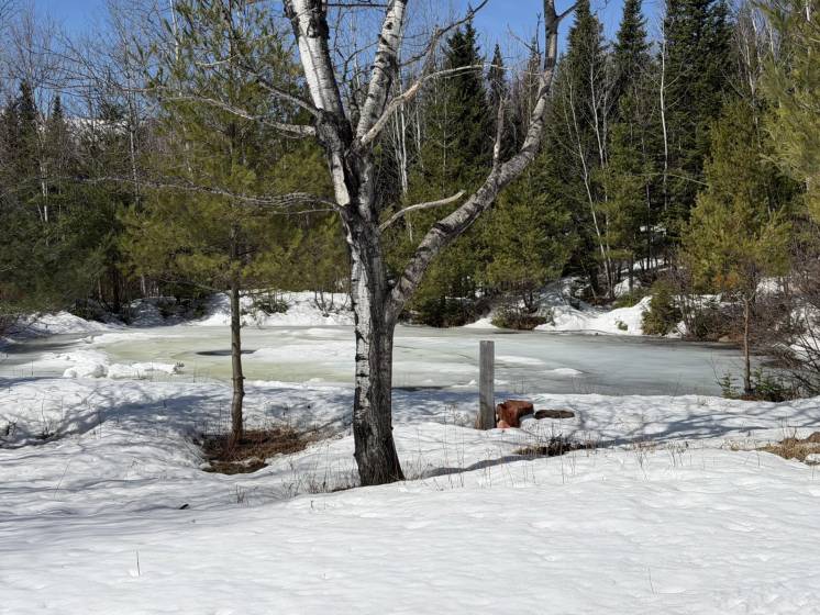 15 - Terrain et terre à vendre, Baie-Saint-Paul (Code - sp924, Charlevoix)