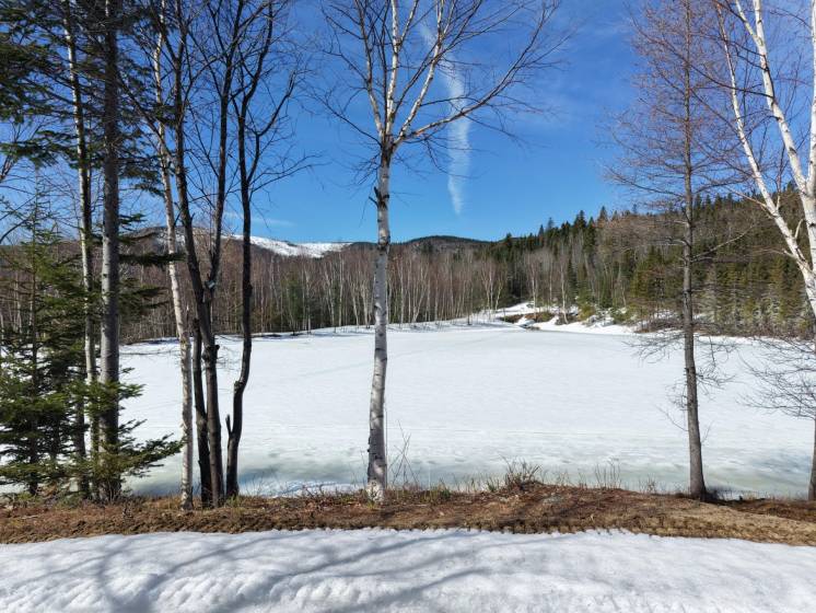5 - Terrain et terre à vendre, Baie-Saint-Paul (Code - sp924, Charlevoix)