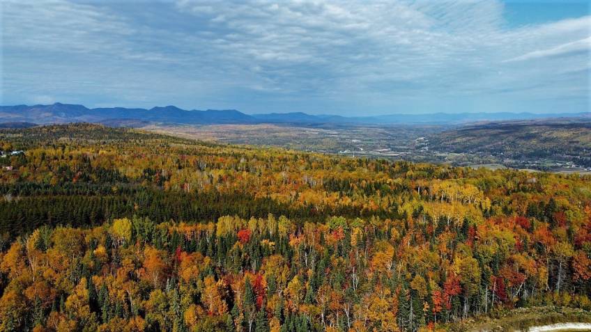 26 - Maison à vendre, Saint-Urbain (Code - su081, Charlevoix)