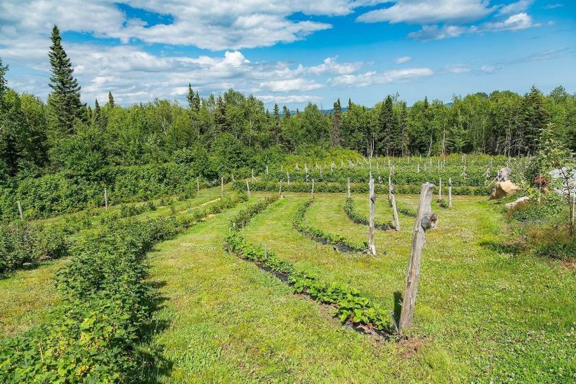 35 - Maison à vendre, Saint-Urbain (Code - su081, Charlevoix)