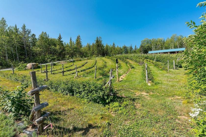 36 - Maison à vendre, Saint-Urbain (Code - su081, Charlevoix)