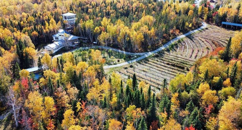 50 - Maison à vendre, Saint-Urbain (Code - su081, Charlevoix)