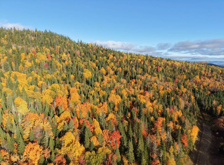 2 - Terrain et terre à vendre, Petite-Rivière-Saint-François (Code - pr868, Charlevoix)