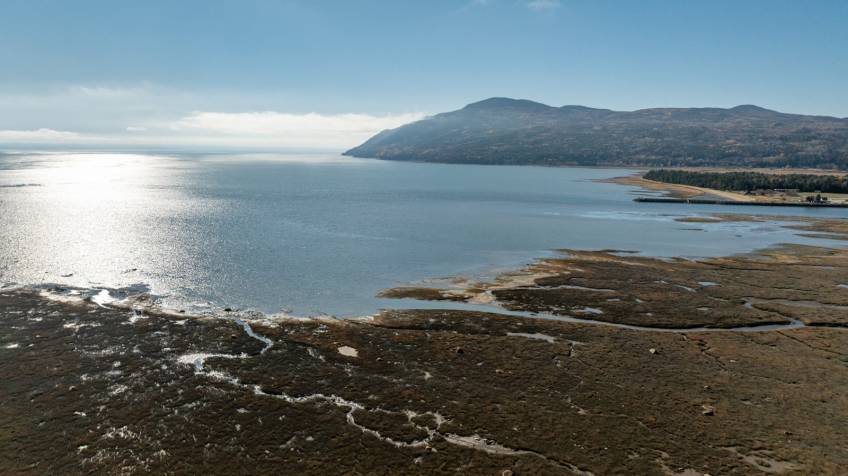 44 - Maison à vendre, Baie-Saint-Paul (Code - sp904, Charlevoix)