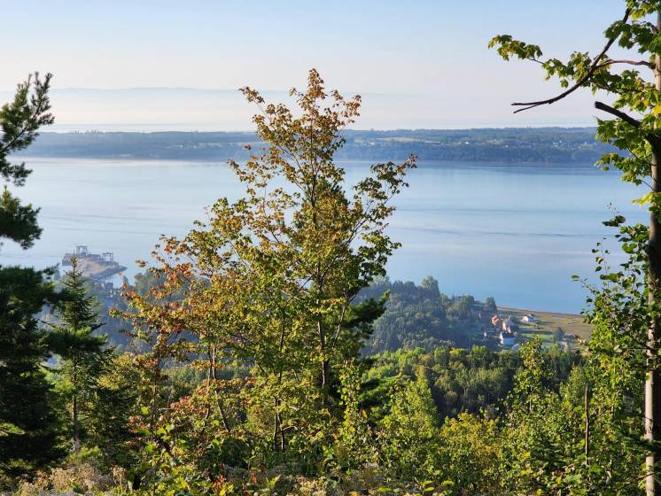 4 - Terrain et terre à vendre, Les Éboulements (Code - eb334, Charlevoix)