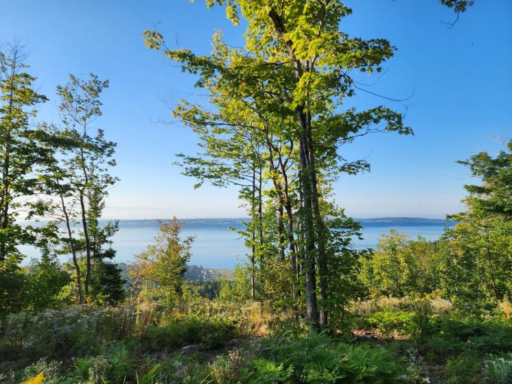7 - Terrain et terre à vendre, Les Éboulements (Code - eb334, Charlevoix)