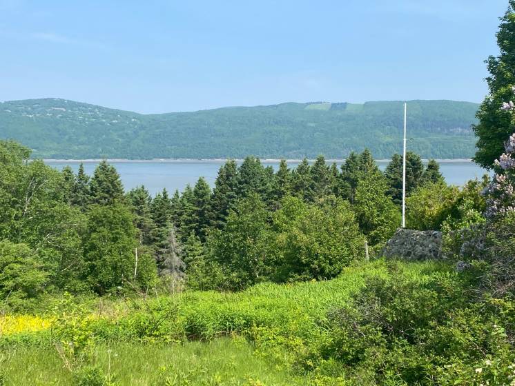 2 - Terrain et terre à vendre, L'Isle-aux-Coudres (Code - ic042, Charlevoix)