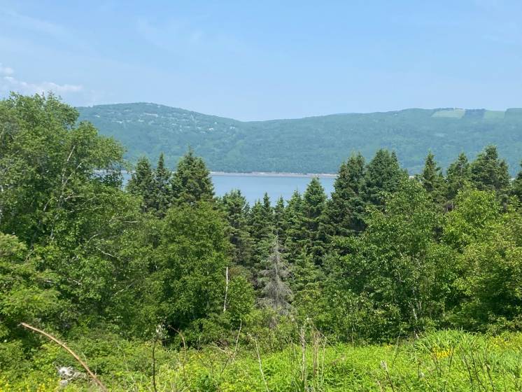 7 - Terrain et terre à vendre, L'Isle-aux-Coudres (Code - ic042, Charlevoix)
