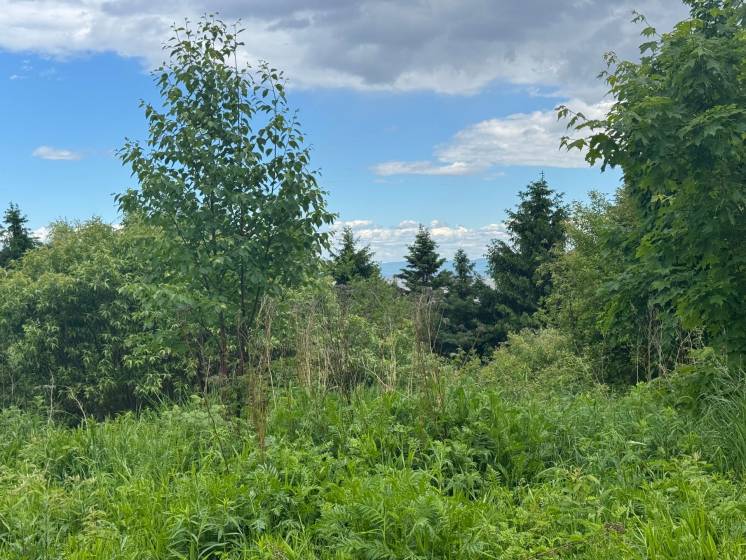 5 - Terrain et terre à vendre, Petite-Rivière-Saint-François (Code - pr857, Charlevoix)