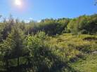 8 - Terrain et terre à vendre, Les Éboulements (Code - eb330, Charlevoix)