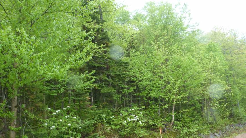 6 - Terrain et terre à vendre, Petite-Rivière-Saint-François (Code - pr815, Charlevoix)