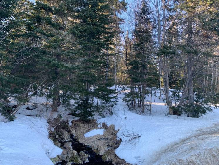 1 - Terrain et terre à vendre, Petite-Rivière-Saint-François (Code - pr783, Charlevoix)