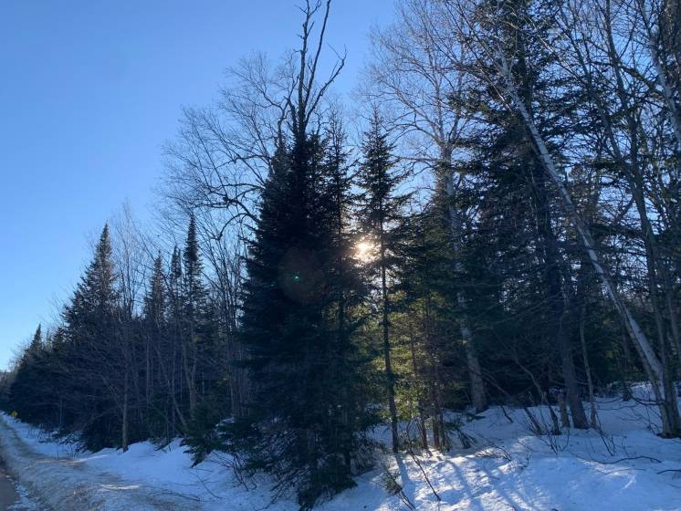 3 - Terrain et terre à vendre, Petite-Rivière-Saint-François (Code - pr783, Charlevoix)