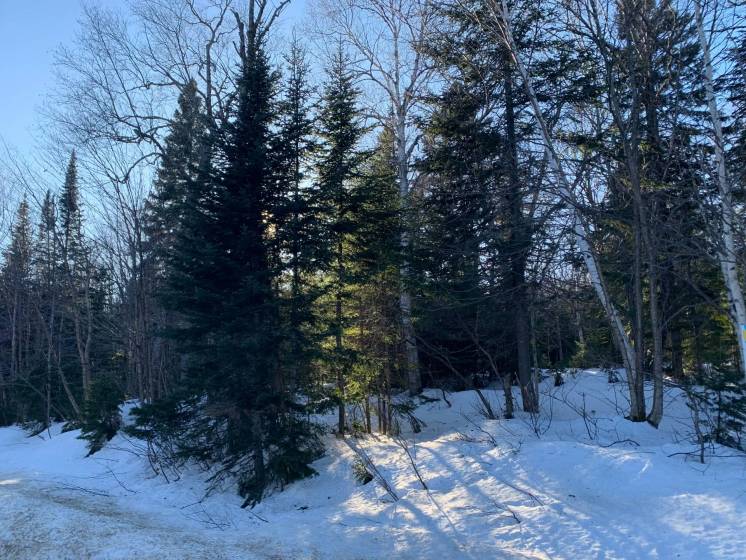 4 - Terrain et terre à vendre, Petite-Rivière-Saint-François (Code - pr783, Charlevoix)
