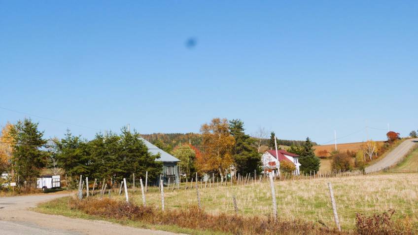 1 - Maison à vendre, Saint-Hilarion (Code - sh045, Charlevoix)