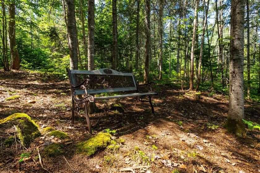 33 - Maison à vendre, Saint-Urbain (Code - su085, Charlevoix)