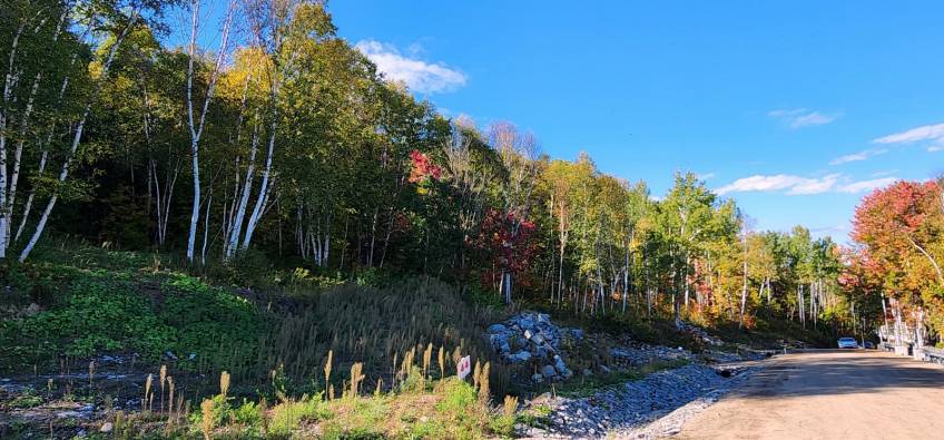 7 - Terrain et terre à vendre, Baie-Saint-Paul (Code - sp841, Charlevoix)