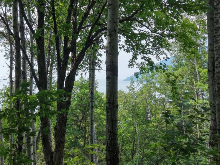 2 - Terrain et terre à vendre, Baie-Saint-Paul (Code - sp908, Charlevoix)