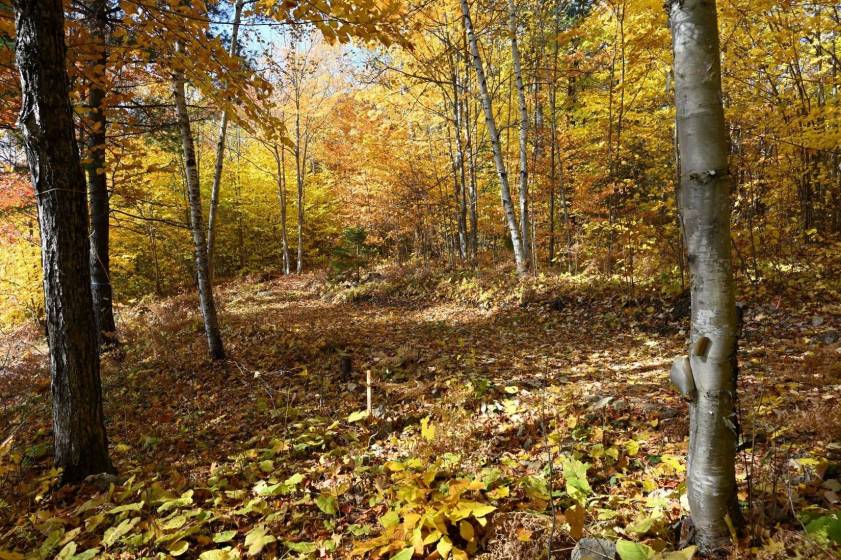 7 - Terrain et terre à vendre, Baie-Saint-Paul (Code - sp908, Charlevoix)