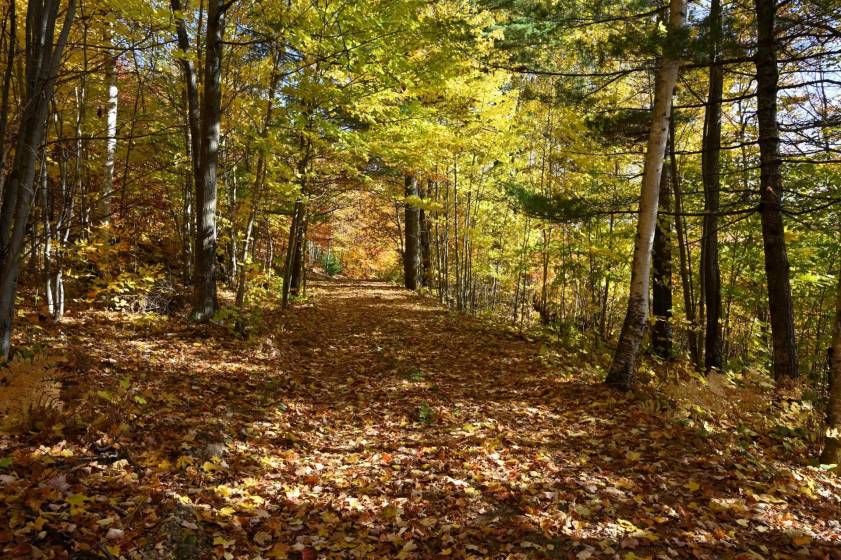 8 - Terrain et terre à vendre, Baie-Saint-Paul (Code - sp908, Charlevoix)