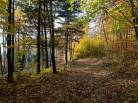 9 - Terrain et terre à vendre, Baie-Saint-Paul (Code - sp908, Charlevoix)