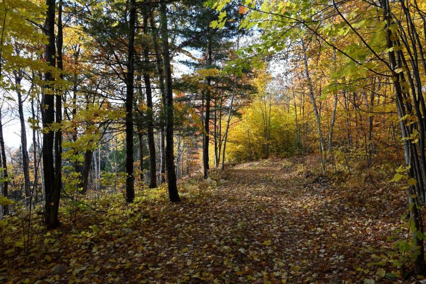 9 - Terrain et terre à vendre, Baie-Saint-Paul (Code - sp908, Charlevoix)