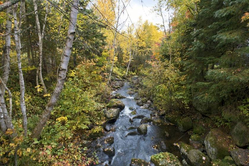 4 - Maison à vendre, Petite-Rivière-Saint-François (Code - pr879, Charlevoix)